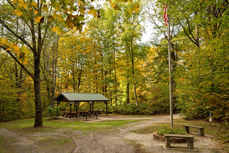 covered patio grill area in wooded area