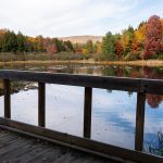 view of body of water surrounded by colorful trees from dock