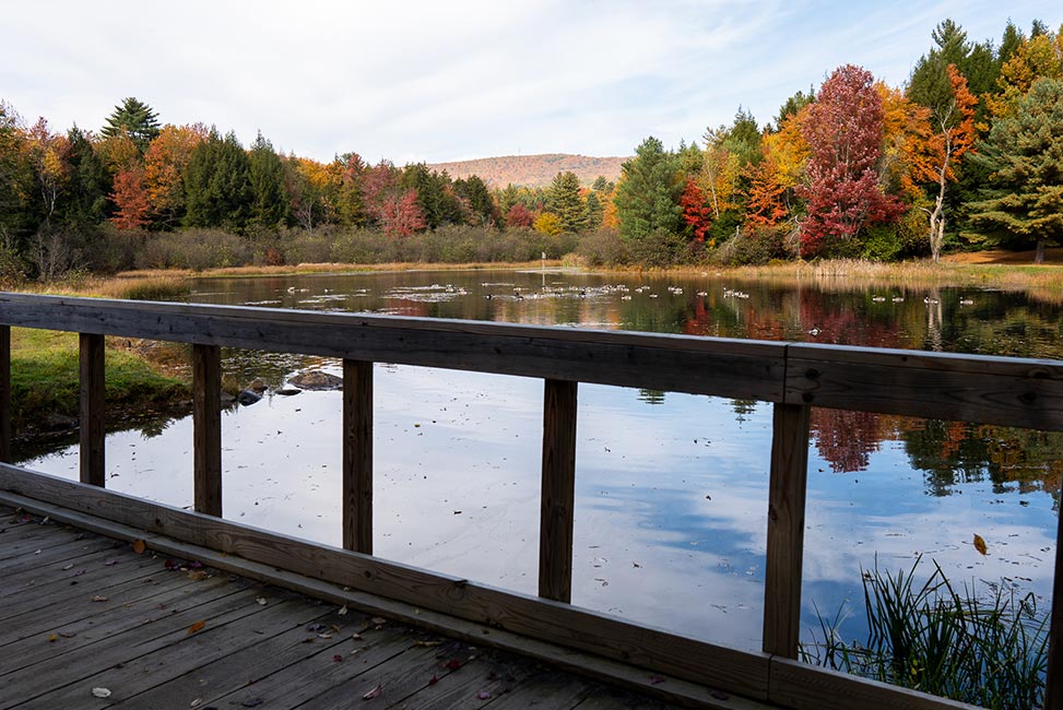 view of body of water surrounded by colorful trees from dock