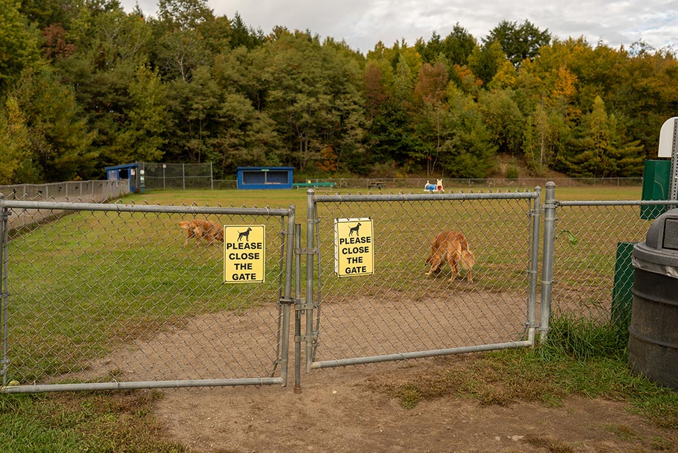 dog park gate