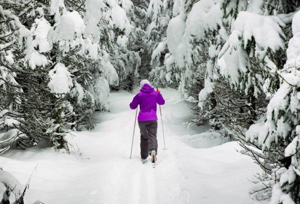 cross country skiier on trail from behind