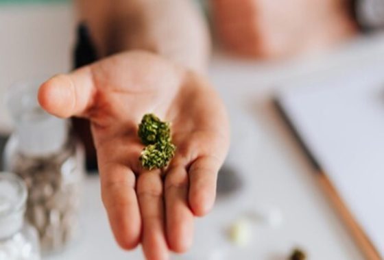 TOG’s New Cannabis Dispensary Appeals to a Wide Audience
